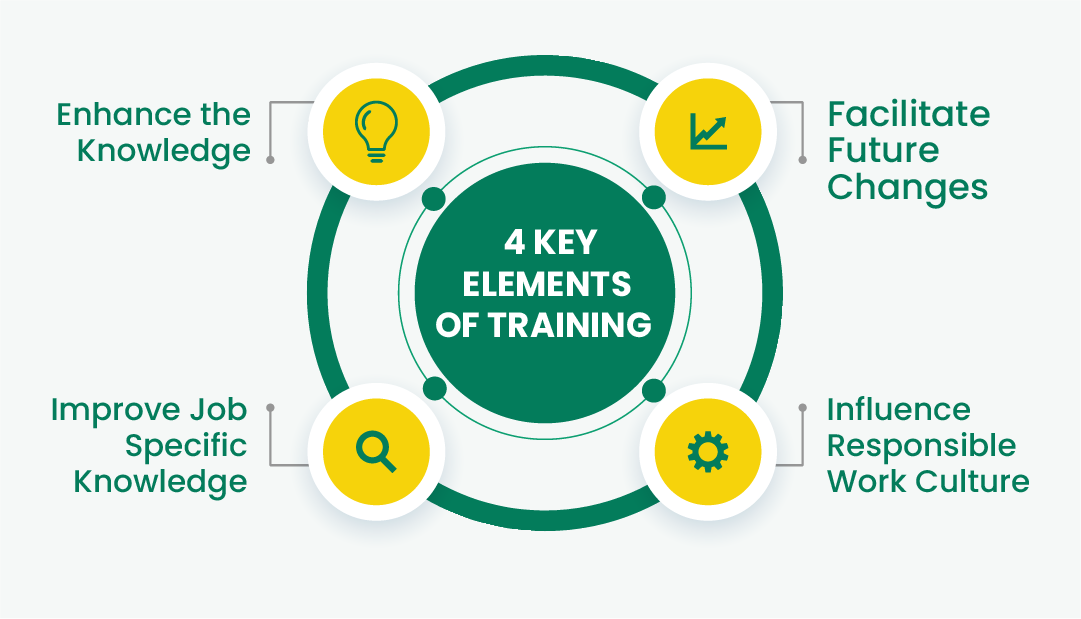 What Is Training : Definition, Types & Methods